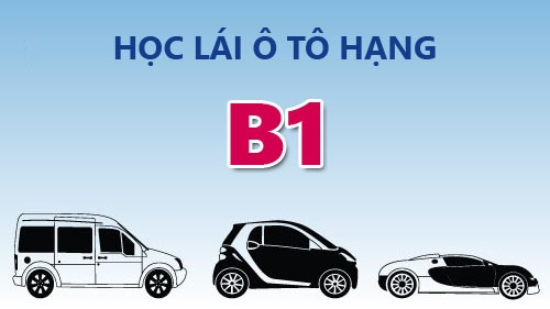 Học lái xe ô tô bằng b1 